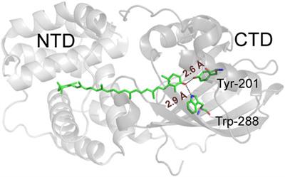 Parameterization of a single H-bond in Orange Carotenoid Protein by atomic mutation reveals principles of evolutionary design of complex chemical photosystems